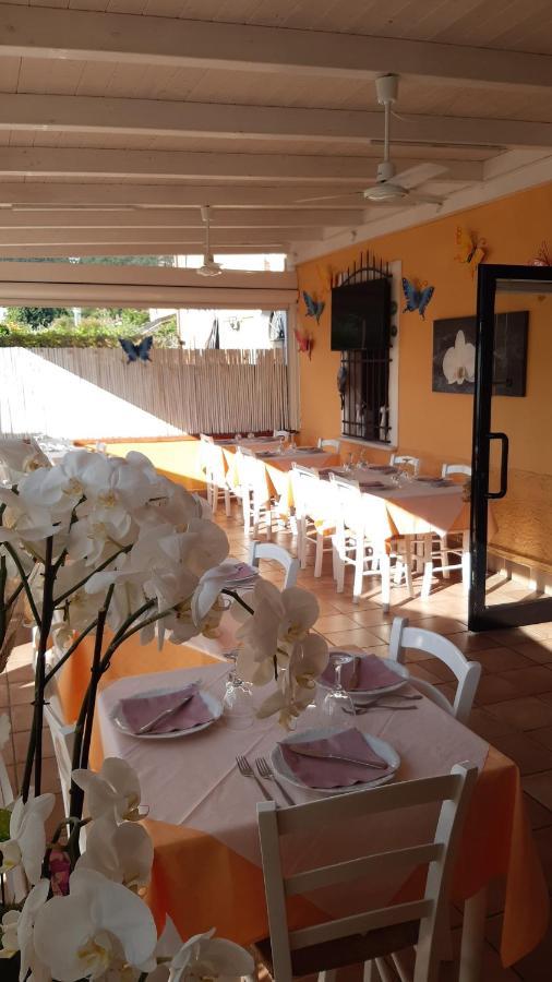 Bed and Breakfast Nonna Lory Pietrasanta Exterior foto
