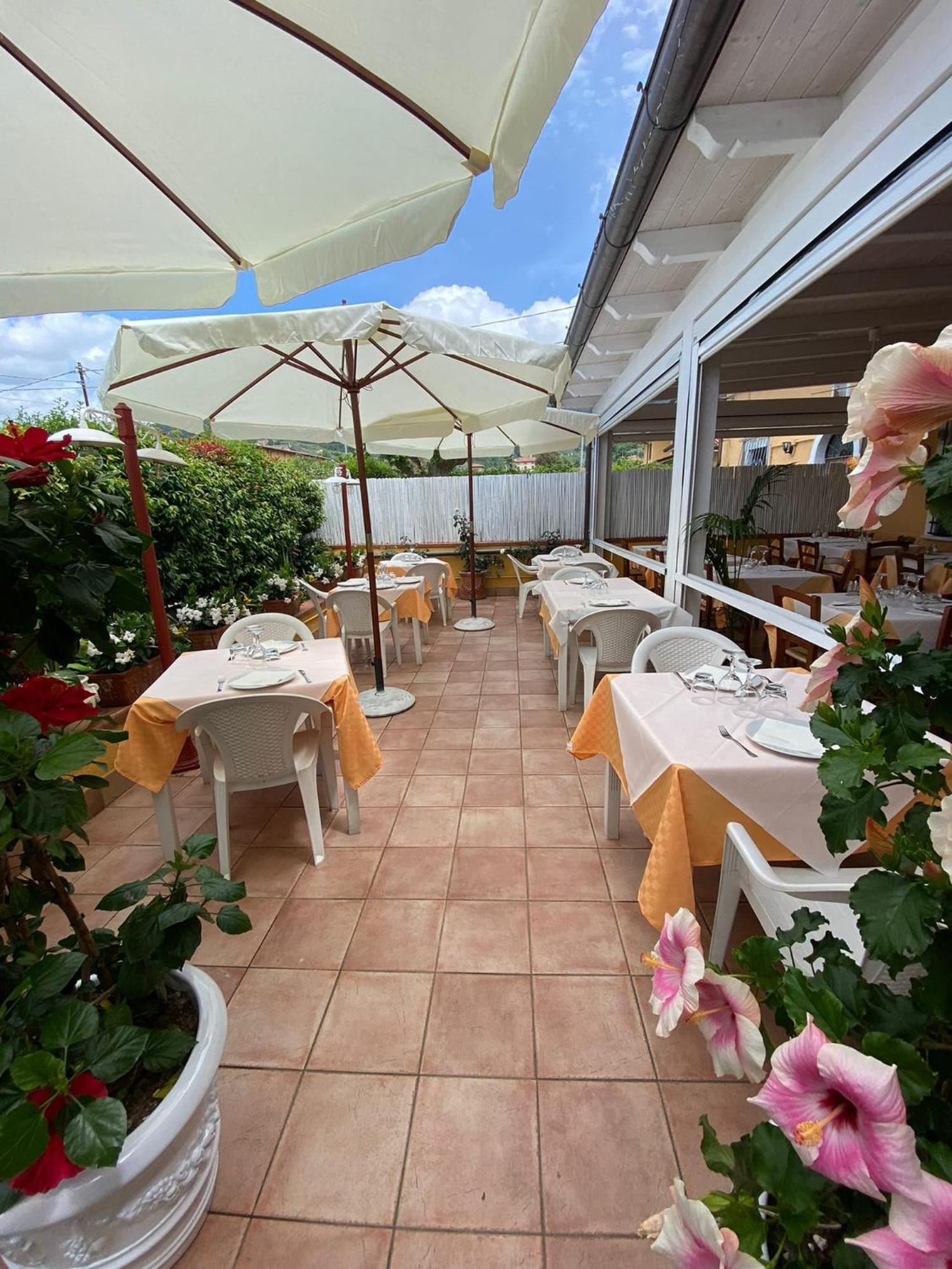 Bed and Breakfast Nonna Lory Pietrasanta Exterior foto